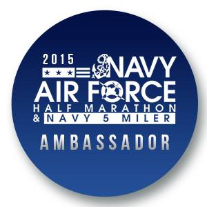 NavyAirForceBadge